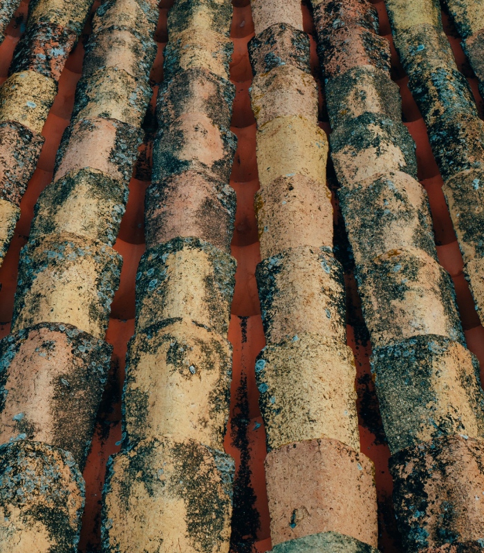 Toiture en tuiles avant démoussage et nettoyage montrant l’encrassement et les mousses – Artisan Pachet