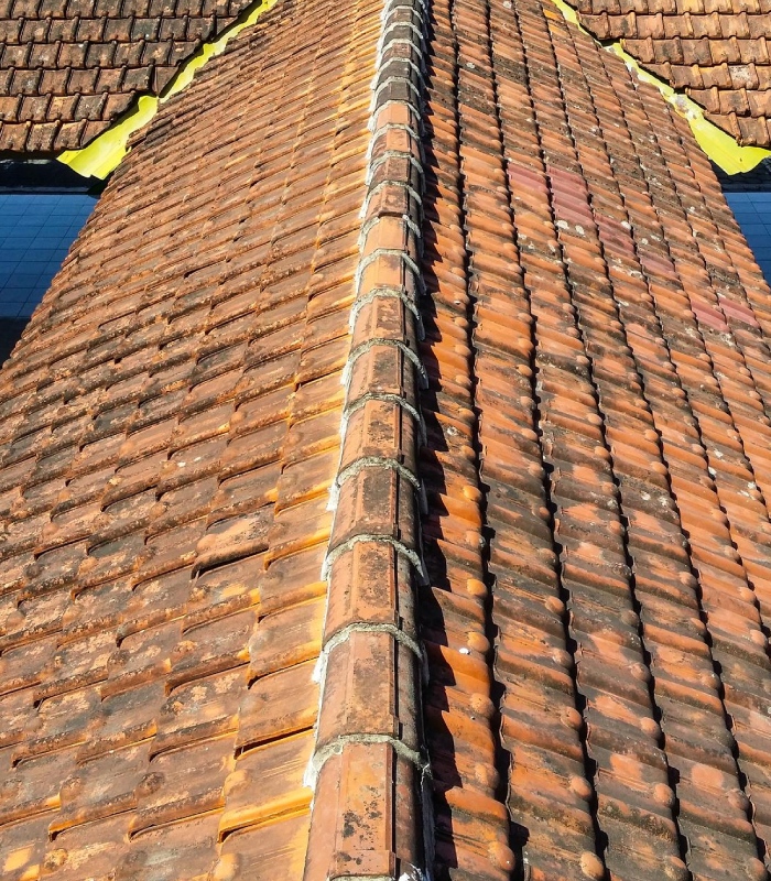Accumulation de mousse et saletés sur une toiture en tuiles nécessitant un démoussage complet – Artisan Pachet